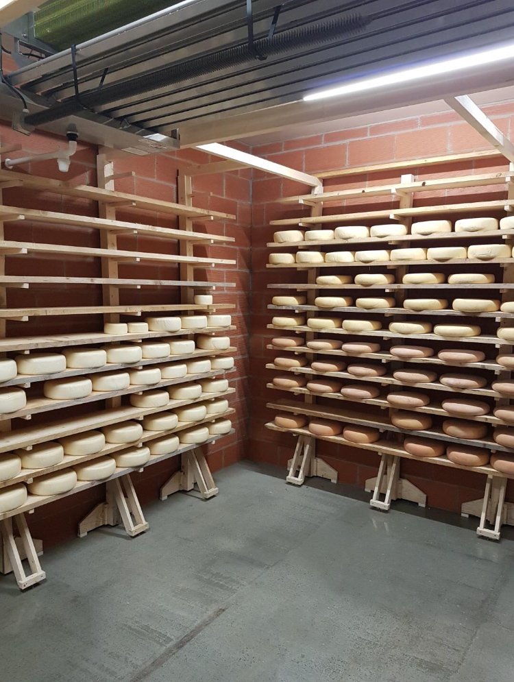 sayous6 Réalisations